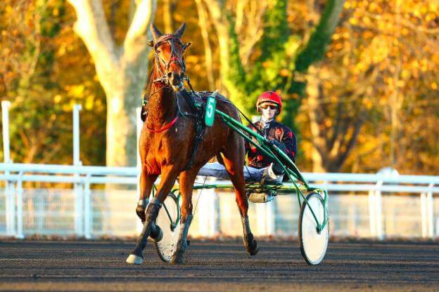 Le Grand Prix du Bourbonnais pour Délia du Pommereux