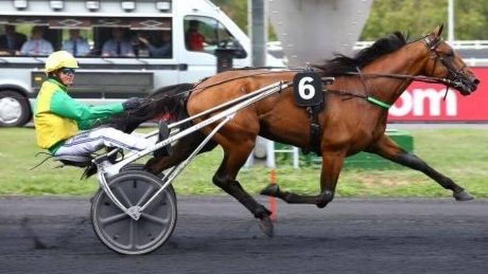 Résultats du prix Ténor de Baune et du Critérium Continental