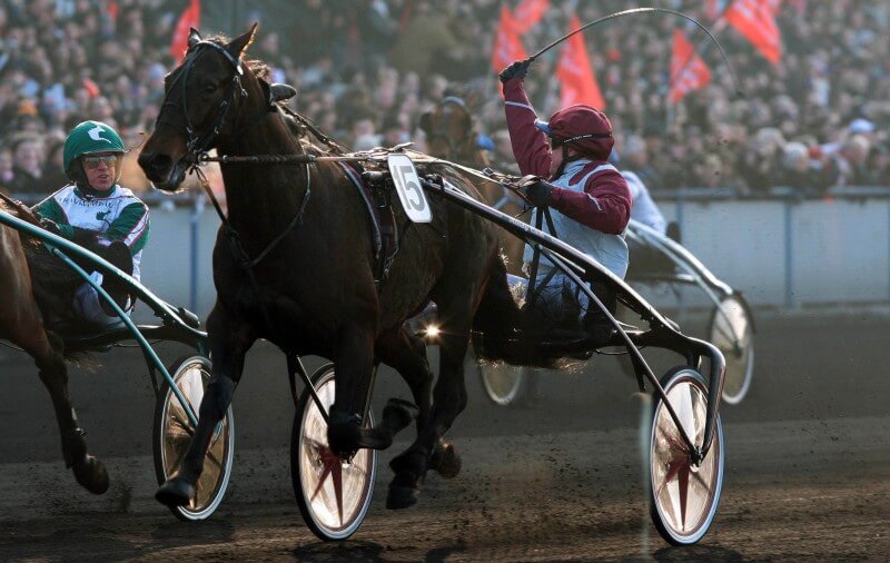 Hippisme : Grand Prix d Amerique Marionnaud